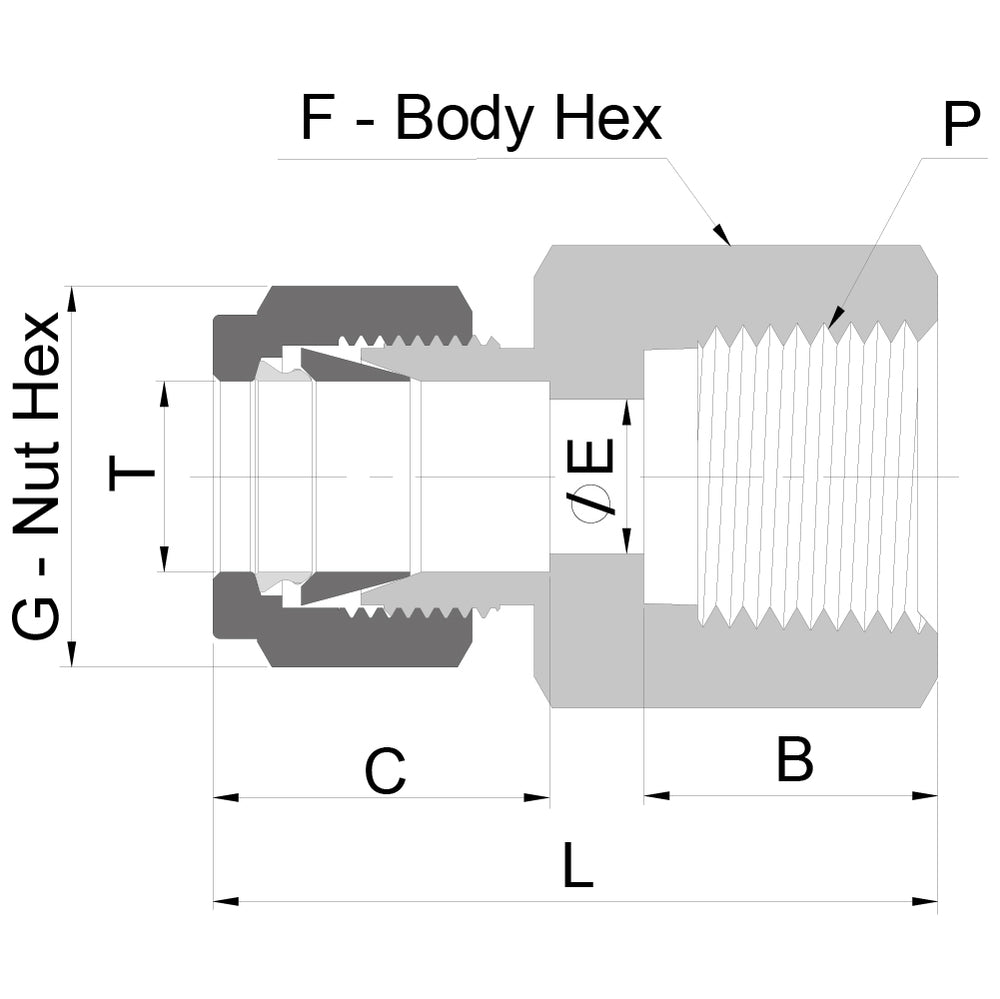 RACOR HEMBRA DE 3/8 OD 3/8 NPT INOX 316S